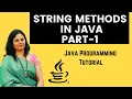 Java String Manipulation trim charAt length and More Complete Guide