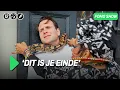 Download Lagu Gewurgd door voodoo slang in NEW ORLEANS | FOMO Show 🇺🇸 S10 #4 | NPO 3