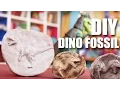 How To Make A Dino Fossil