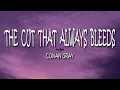 Download Lagu Conan Gray - The Cut That Always Bleeds (Lyrics)