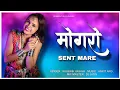 Download Lagu 2025 New Aadivasi Timli | Mogro Sent Mare | Dj Jatin | Kaushik Vasava | Dj Shrey