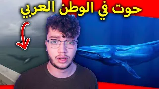 حتى الحوت مش تاركينه بحاله دندنها