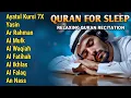 Download Lagu Quran Recitation in A Peaceful Voice I Alfatiha, Ayat Al Kursi, Yasin, AlWaqiah, Arrahman, Alaa Aqel