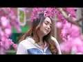 Download Lagu WIS NASIPE-JIHAN AUDY(OFFICIAL VIDIO MUSIC)