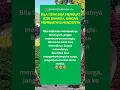 Download Lagu Bila tidak bisa membuat istri bahagia, jangan membuatnya menderita | suami istri bahagia #shorts