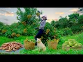 Download Lagu Harvest, Sell, Cook With Longan, Sweet Potato, Bean Sprouts, Custard Apple – Garden,Care For Animals