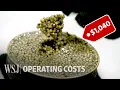 How to Run a 10 Million Caviar Farm WSJ Operating Costs