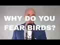 Lagu Fobie-goeroe legt angst voor vogels uit - Ornithofobie