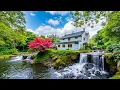 Download Lagu Herstel je zenuwstelsel 🌿 Ontspannende muziek en natuurgeluiden voor een diepe slaap