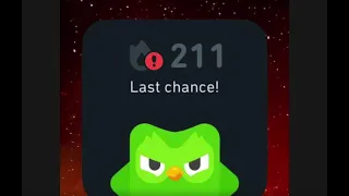 DUOLINGO WIDGETS but they get progressively WORSE SUPER EXTENDED
