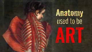 The Weird History of Anatomy Illustrations