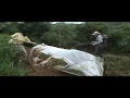 Tio e Sobrinho - Plantador de fumo