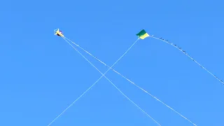 Quando Duas Pipas Fazem o X é Lindo de se Ver