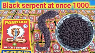 1000 Black serpent at once 🐍 #ramcharan110 
