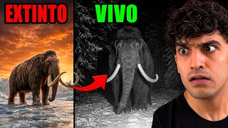 10 Animais Extintos que as pessoas acreditam que ainda existem