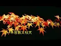 楓葉情 鳳飛飛