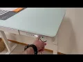 Should You Get A Standing Desk - Seville Classics Airlift Desk Review