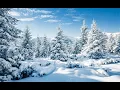 Download Lagu Winter With You