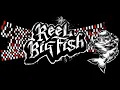 Reel Big Fish - Call me Maybe, Beer, Self esteem - Valentines day 2014 14/2/2014