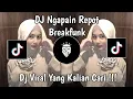 Download Lagu DJ NGAPAIN REPOT BREAKFUNK SLOW AMANG FAHMI | ADE KO BAGUS INI KA SUMPAH KA MAU NIKAH VIRAL TIKTOK