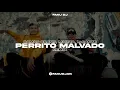 PERRITO MALVADO ✘ L-GANTE ✘ DAMAS GRATIS ✘ MARITA ✘ FAKU DJ