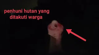  explore malam tempat muncul penampakan kuntilanak