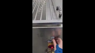                                دندنها