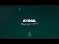 R3HAB & Jason Derulo - Animal (Lyrics)