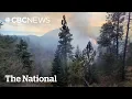 Download Lagu Wildfire burning near Peachland, B.C., triples in size