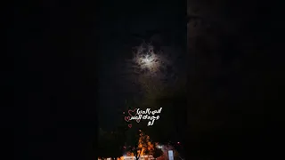 اني بالدنيا وحيدك 