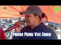 Download Lagu Panas Perih Voc Erika - Cek Sound Singa Depok Satria Muda one 2024