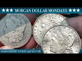HOW MUCH SHOULD A MORGAN DOLLAR WEIGHT - MORGAN DOLLAR MONDAYS with MASSABESIC GOLD and SILVER