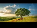Download Lagu Green green grass of Home as sung by Fred Muller - singer from Capetown