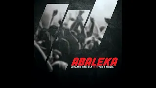 ulwaz no makhula abaleka feat tmo u0026 mondli official audio amapiano