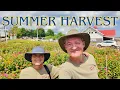 Exploring Applecrest Farm A Classic New England Farm Experience