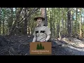 45 Foot Tall Cryptid in Woodlands National Park I 1975 found footage tape