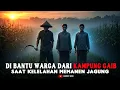 Download Lagu DI BANTU WARGA DARI KAMPUNG GAIB SAAT MEMANEN JAGUNG SENDIRIAN
