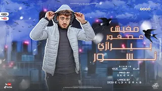 اغنية الحلم ايطاليا احنا مزاجنا ثم مزاجنا مفيش عصفور بيرازى نسور يوسف الجو انتاج الاسطورة 2024 