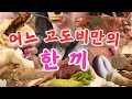Download Lagu 102KG가 풀코스로 한 끼를 먹는다면? 젤라토, 아이스크림 케이크, 참치 스테이크, 샌드위치, 커피, 쿠키 , 오징어 튀김, 파스타