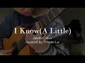 I Know(A Little)｜Jacob Collier｜Solo guitar ver. by Tristan