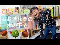 Download Lagu こだわりの【おおきな栗の木の下で】[Under the select large chestnut tree]