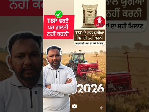 TSP ਵਿੱਚ ਯੂਰੀਆ ਕਦੇ ਮਿਕਸ ਕਰਕੇ ਬਿਜਾਈ ਨਾ ਕਰੋ #shorts