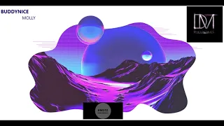 buddynice molly original mix 
