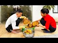 Lagu Tending the vegetable garden, harvesting bananas and honey_Ly Tieu Yen