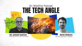 On (Wild)fire Podcast | Episode 03 | What's really happening to the Amazon and what can we do?