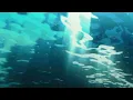 Maxwell - Fortunate (Slowed n Reverb)
