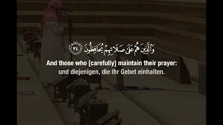 سورة المعارج محمد اللحيدان                                       دندنها