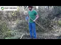 Pointed Hoe - How to Use