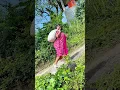 Download Lagu Naik Naik ke Puncak Gunung Tinggi Tinggi sekali 🏔️