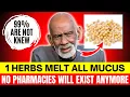 Mucus Causes All Disease Dr Sebi Explains the Herbs That Clean Your System
